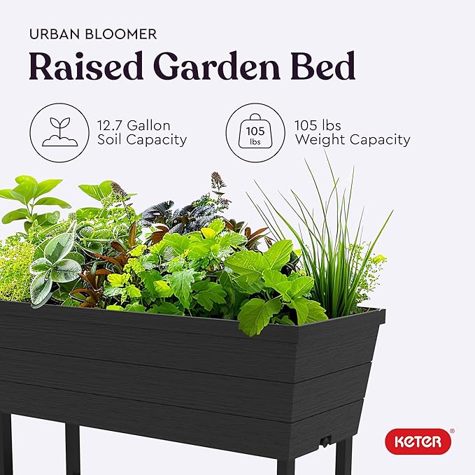 Keter Urban Bloomer 12.7‑Gallon Raised Garden Bed – Elevated Outdoor Planter Box with Self‑Watering Reservoir, Water Gauge & Drainage System, Perfect for Herbs & Vegetables, Dark Grey
