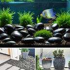Large River Rocks 20lbs, 2-3 Inch Black Pebbles for Plants, High Polished Natural Decorative Stones for Aquarium Vase Filler Fish Tank Landscaping Garden