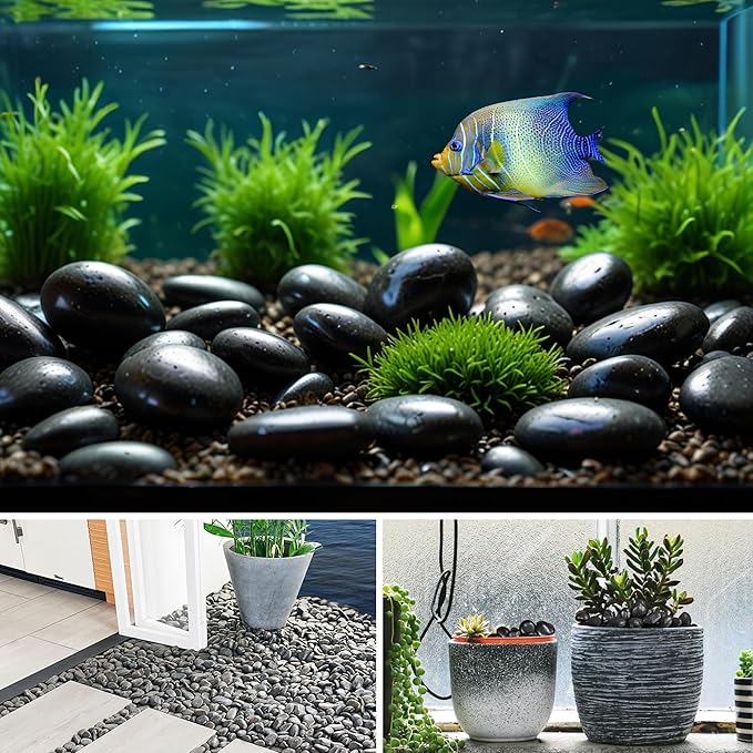 5lbs Large Pebbles for Indoor Plants, 2-3 Inch Natural Black River Rocks for Aquarium, High Polished Decorative Stones for Vase Filler Fish Tank Landscaping Garden