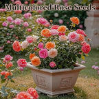 Rose Seeds for Planting, 200+ Mixed Rose Flower Seeds, Perennial Exotic Flower Plants, Non-GMO Heirloom Rare Vine Rose Seed for Garden Outdoor