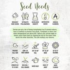 Seed Needs Zinnia Seeds 15+ Varieties Specialty Crazy Blend | 1,000+ Seeds Zinnia Elegans Open Pollinated | Includes California Giants, Candystripe & State Fair Species | Bulk