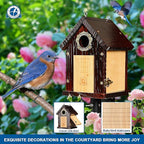 SISTERBIRD Pack of 2 Premium Bluebird Houses for Outside, All Seaons Bird Houses for Outside, Wooden Cabin Birdhouses for Outdoors, Weatherproof Courtyard Decorated Hanging Bird House