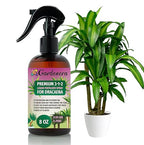 Gardenera Proffesional Dracaena Spray Fertilizer Mist for Home Gardening | 3-1-2 Gentle Blend Mist for Healthy Leaves & Growth | Essential Nutrients for Dracaena Plants - 8oz