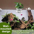 4 Pack Hanging Aquarium Plant Holder Top Hanging Fish Tank Plant Pot Clear Aquarium P-Lant Holder 3 Holes Aquatic P-Lant Cups for Aquarium Tank Decoration