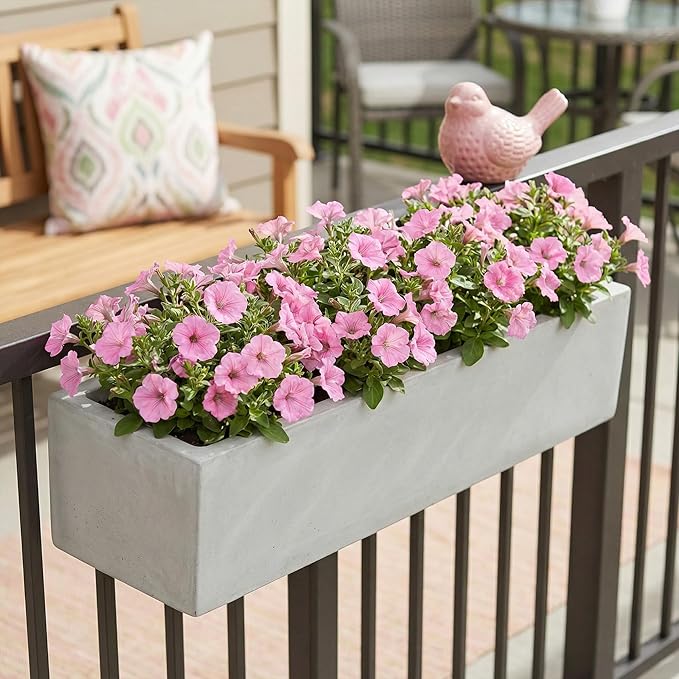 Proven Winners® Petunia Plant - Supertunia Vista Bubblegum - 2 Pack - Annual Flower for Spring & Summer Blooms - 6" Tall x 6" Wide, 1.56 Pt Pot