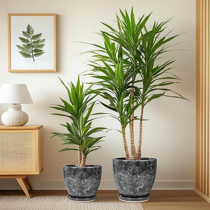 Ceramic Pots for Plants - 10+8+6 Inch Modern Flower Pot for Indoor Outdoor, Round Planters with Drainage Holes and Trays, Office Garden Living Room Decor, Housewarming Gifts, Set of 3, Grey