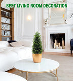 Two 2FT Artificial Cedar Trees, Beautiful and Realistic Fake Potted Trees,Artificial Evergreen Front Porch Decorations Plants, Suitable for Indoor, Office, Living Room and Room Decoration