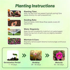 Outsidepride Pink Mixed Moss Rose Seeds - 500 Pcs Annual, Drought & Heat Tolerant, Pollinator Friendly Ground Cover Seeds for Planting w/Vibrant Blooms & Succulent Foliage, Ideal for Xeriscaping