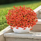 Artificial Mums for Outdoor Fall Decor Flowers, 12 Bundles Fall Decorations for Home Fake Mums Artificial Flowers, Fake Plants for Outdoor Planters UV Resistant for Porch Outside Yard