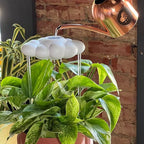 The Original Dripping Rain Cloud for Plants, Plant Watering Rain Cloud, Plant Lover Gifts, Plant Lady Gifts for Women, Plant Accessories