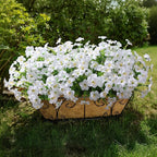 Artificial Flowers for Outdoors Fake Plants Outside Decoration, 20 Bundles White Silk Petunia with Eucalyptus UV Resistant Realistic Faux Flowers for Outdoor Planters Garden Balcony Yard Porch Patio