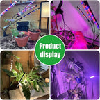 RWNTAO LED Plant Grow Light with Flexible Gooseneck, Suitable for Indoor Plants, Full Spectrum Clip on Plant Growing Light with Red, Blue, Yellow Beads, 10 Brightness Levels, 3/9/12H Auto Timer