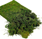 USMOLA Artificial Moss 16oz – Fake Moss for Crafts, Fairy Gardens, Wedding & Party Decor, Centerpieces & Potted Plants (Fresh Green, 455g)
