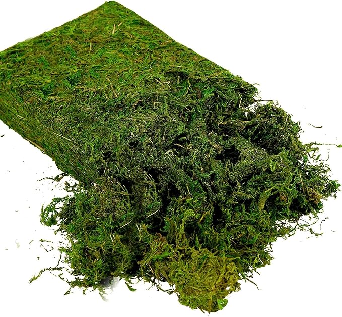 USMOLA Artificial Moss 16oz – Fake Moss for Crafts, Fairy Gardens, Wedding & Party Decor, Centerpieces & Potted Plants (Fresh Green, 455g)