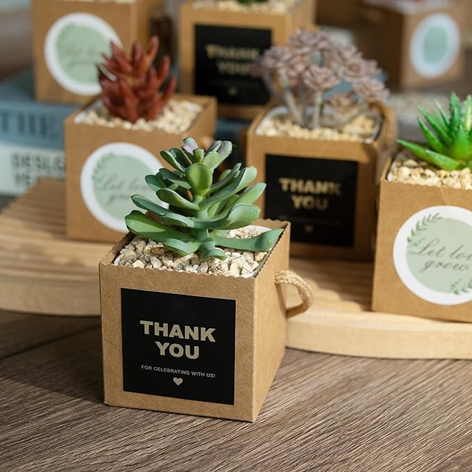 Temlum 2.5 Inch Succulent Wrap Bags (Fits 2.5″ Pots) with Thank You & Let Love Grow Stickers, Small Gift Box for Wedding, Baby Shower, Succulent Party Favors for Guests (Brown 100pcs)