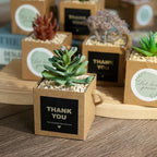 Temlum 2.5 Inch Succulent Wrap Bags (Fits 2.5″ Pots) with Thank You & Let Love Grow Stickers, Small Gift Box for Wedding, Baby Shower, Succulent Party Favors for Guests (Brown 40pcs)