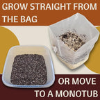 5 lb All-in-One Mushroom Grow Bag - 2 Pack