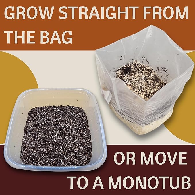 5 lb All-in-One Mushroom Grow Bag - 1 Pack