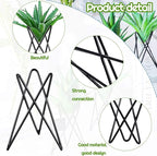 Jetec 6 Pcs Air Plant Holder Airplants Live Holders Airplants Rack Black Metal Desk Plant Rack for Home Office Study Balcony Garden Patio Wedding Decoration Gift