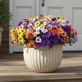 CEWOR 24 Bundles Artificial Flowers for Outdoor Indoor, Fake Silk Pansy with Eucalyptus Leaves, Faux Flower for Garden Front Door Porch Planter Patio Home Decor (Yellow White Purple Pink Orange Blue)