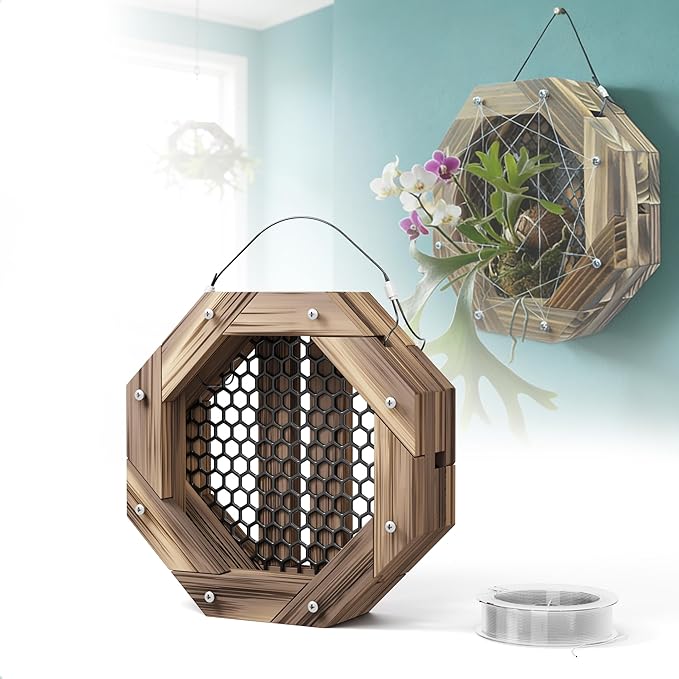 8.18 Inches Staghorn Fern Mounting Kit Orchid Mounting Wood Hanging Plant Frame Wall Planter Plant Holder Basket for Orchids Staghorn Fern Tropical Plants (208x208x60mm)