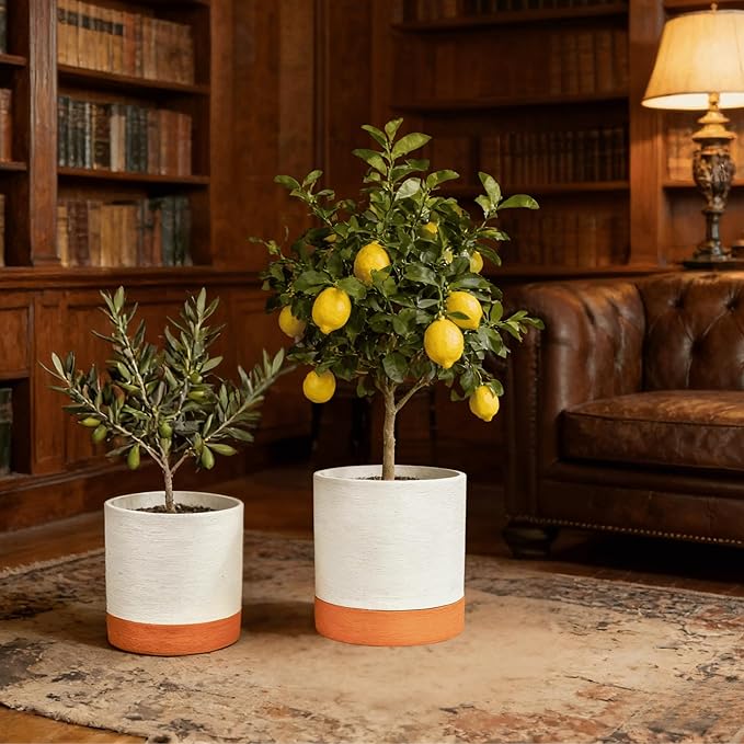 GreenShip Planter Set of 2 (9.8" & 7.8") – Cylinder Planters with Drainage Hole and Planter Saucer, Jun Porcelain Clay & Recycled Resin, Decorate Home,Office & Outdoor,White pots