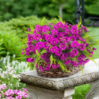 Artificial Flowers for Outdoors 12 Bundles Artificial Petunias Fake Flowers UV Resistant Shrubs Plants with Fern for Indoor Outside Hanging Planters Home Garden Spring Decorations (Magenta)