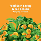 Miracle-Gro Fruit & Citrus Plant Food Spikes - 10-15-15 NPK Easy-To-Use Nutrition for Fruit and Citrus Trees, Plant Fertilizer, 12 Spikes, 3 lb.