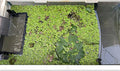 HOZOE Floating Plant Fence for Aquarium, Separates Floating Plants, Automatically Adjusts Height with Water Level, Suitable for All Floating Plants and Most Aquariums.