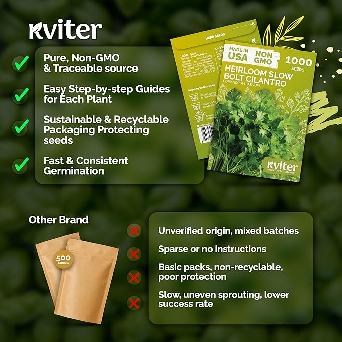 KVITER 1000 Slow Bolt Cilantro Seeds (Coriandrum sativum) - Cilantro Organic Seed, Slow to Bolt Coriander Seed, Aromatic Leaves - Herb Seeds for Planting in Outdoor & Indoor Garden