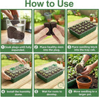 Grow Sponges with Tray, 24 Pack Seed Starter Pods & Starter Plugs for Cuttings, Hydroponic Grow Sponges for Seed Starting, Plant Plugs for Herbs Vegetables Flowers, Easy Transplant Rooter Pods