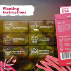 KVITER 1000 Tall Utah Celery Seeds (Apium graveolens) – Celery Seed Packets Home Grown – Non GMO Heirloom Vegetable Garden Seeds for Planting, Outdoor & Indoor Garden Beds, Containers
