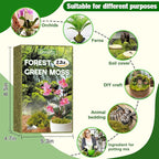 ZeeDix 2.2 lbs Forest Moss for Plants Indoor - Dried Orchid Moss for Repotting, Natural Green Sphagnum Moss for Potted Plants Carnivorous Monstera Succulents Crafts Reptile Habitat (Expands to 40 qt)