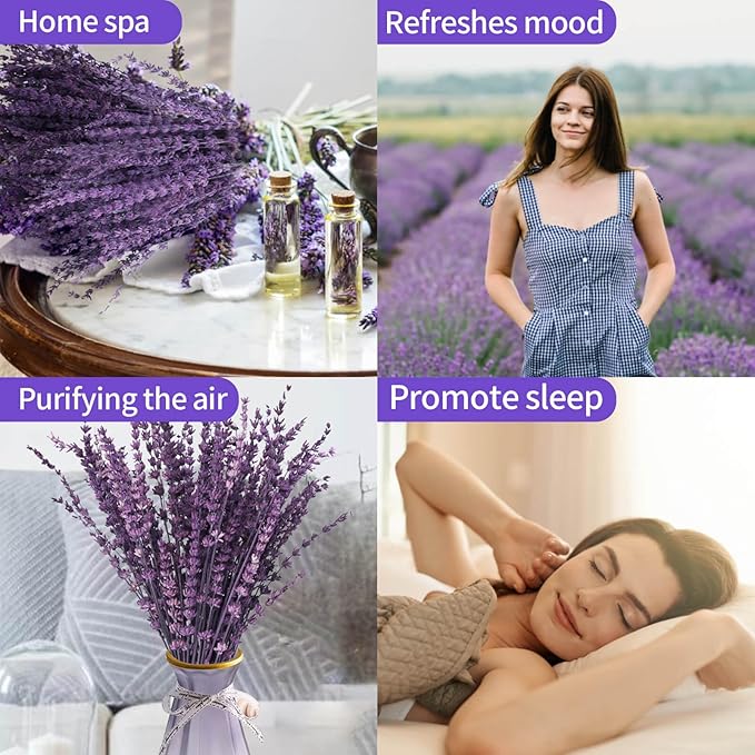 Dried Purple Lavender Flowers Bundle-Dried Preserved Lavender Bouquet 15-17" for Shower Weeding Home Vase Decor, Crafts, Aromatherapy, Fragrance, Fresh Silk Dry Live Plants, 50g(1.76oz)