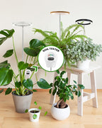 yadoker Plant Grow Light, LED Growing Light Full Spectrum for Indoor Plants, Paired with a Soil Tester,Height Adjustable, Automatic Timer, 5V Low Safe Voltage,Idea for Large Plant Light