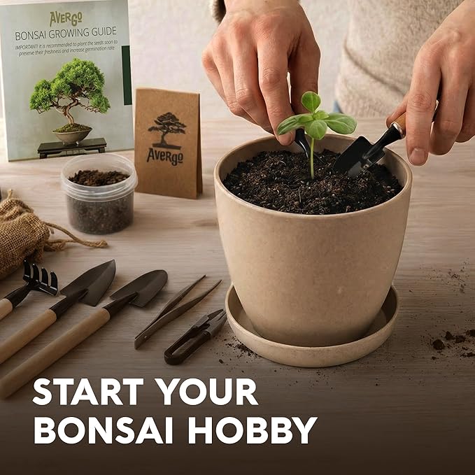 Avergo Bonsai Starter Kit – Growing Jacaranda Bonzai Tree | Complete Indoor Tree Kit for Growing Plants with Tools & Planter – Gardening Gifts for Mother, Women & Men