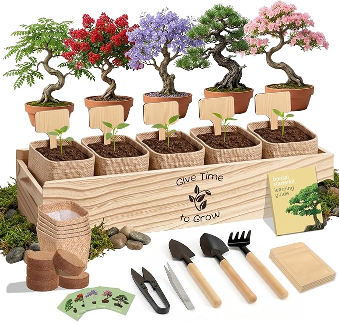 Bonsai Tree Starter Kit for Beginners 5 Unique Indoor Bonsai Trees with Gardening Tools DIY Bonsai Growing Kit Perfect Gifts for Women Men Plant Lovers for Birthday Easter Housewarming