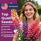 Foxglove Seeds Perennial – Mixed Colors, 200,000+ Seeds Bulk Pack for Easy-to-Grow Home Gardening, Tall Spire Blooms for Garden Borders, Attract Hummingbirds & Bees