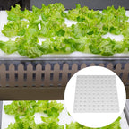 200 Pack Hydroponic Sponge Planting Tool Square Seedling Sponges Greenhouse Hydroponic Sponge Hydroponic Vegetable Planting Sponge for Small Bud Growth