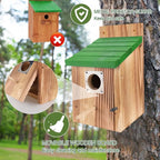 4-Pack Blue Wooden Bird Houses for Outdoors with Predator Guard, Bluebird Houses for Outside – Ideal for Bluebirds & Other Backyard Birds, Green