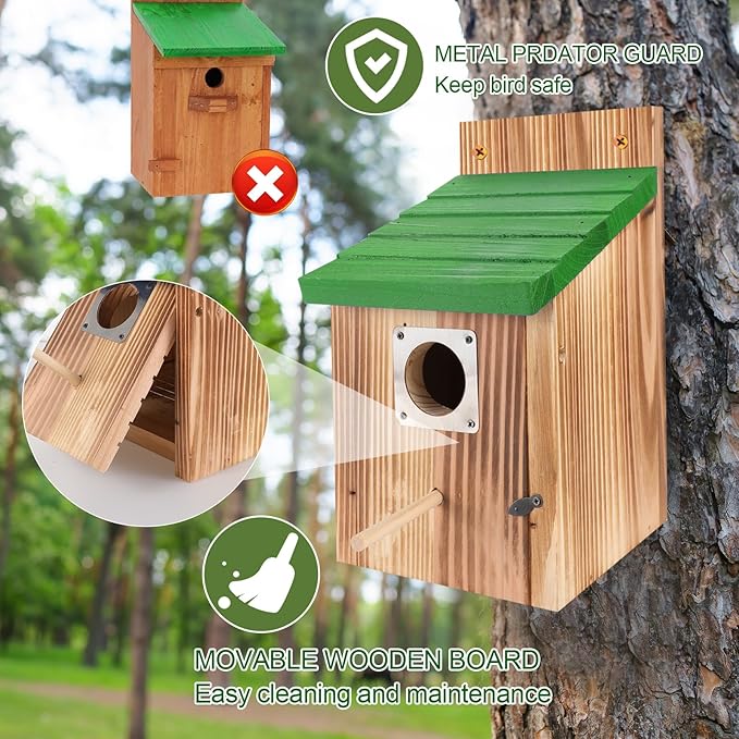 4-Pack Blue Wooden Bird Houses for Outdoors with Predator Guard, Bluebird Houses for Outside – Ideal for Bluebirds & Other Backyard Birds, Green