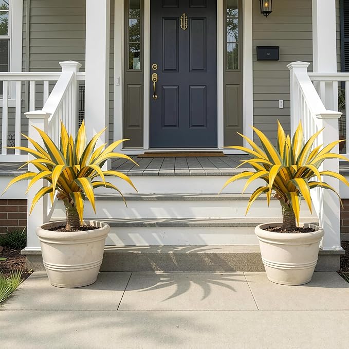 Artificial Green Edged Gold Leaf Spiny Agave Plant with 23 Leaves, 19.68in Faux Agave for Indoor & Outdoor Home Decor Perfect for Porch Living Room Bedroom Patio & Office （2 Pack）
