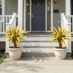Artificial Green Edged Gold Leaf Spiny Agave Plant with 23 Leaves, 19.68in Faux Agave for Indoor & Outdoor Home Decor Perfect for Porch Living Room Bedroom Patio & Office （2 Pack）