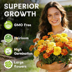 LUOJIBIE French Marigold Seeds for Planting Outdoors, Giant Marigold Flowers Seeds Bulk for 2026, Over 4,000+ Seeds Prolific Blooms, Ideal for Vibrant Pollinator Gardens