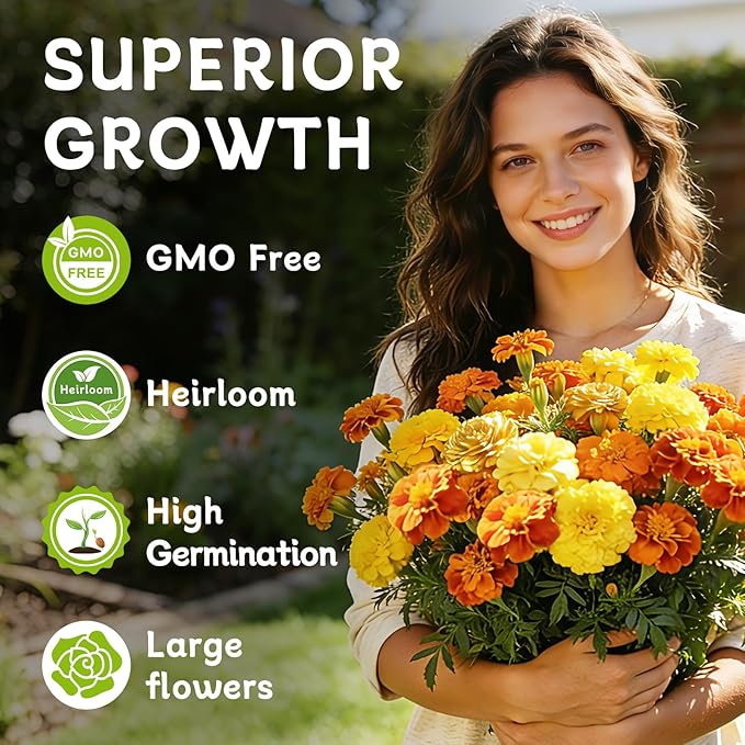 LUOJIBIE French Marigold Seeds for Planting Outdoors, Giant Marigold Flowers Seeds Bulk for 2026, Over 4,000+ Seeds Prolific Blooms, Ideal for Vibrant Pollinator Gardens