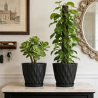 UOUZ 8 Inch Plant Pots, 2 Pack Plastic Planters for Indoor Outdoor with Drainage Holes & Saucers, Waffle Texture Flower Pots for Indoor Plants, Indoor Plant Pots for Monstera, Fiddle Leaf Fig, Black