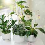 HDCRYSTALGIFTS 6pcs Crystal Butterfly Suncatchers with 13'' Gold Trellis for Mini Potted Plants Decorations, Garden Indoor Plant Accessories Fairy Garden Sun Catchers, Plant Lover Gift
