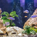 Moonorange Reptile Artificial Plants, Terrarium Plants Decorations Supplies, Aquarium Fish Tank Plant, Amphibian Habitat Hideout Tank Accessories (M Set-2pcs/G)