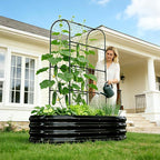 DoCred 2 in 1 Galvanized Raised Garden Bed, 2Pcs Garden Planter Box with 71" H Trellis for Climbing Plants, Outdoor Gardening Raised Beds with Climbing Net for Fruits, Vegetables, Flower (Black)