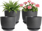 8 Inch Plant Pots Set of 4, Plastic Planters with Drainage Holes and Tray, Flower Pots for Indoor Outdoor Plants and Flowers (Black)